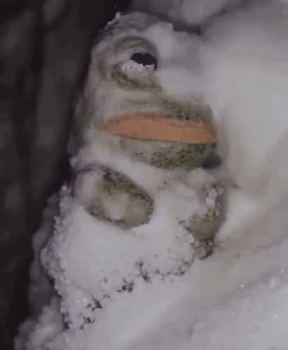 Loikka Winter Games & Hankiultimaten OSM-kisat